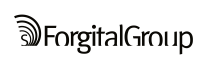 Forgital Group